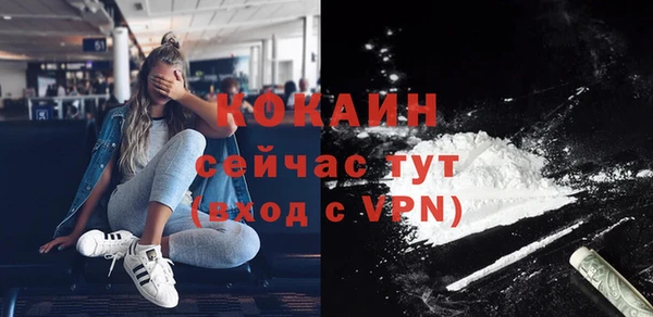 дживик Балахна